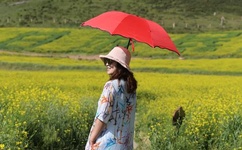 午夜成年奭片免费观看